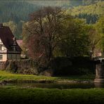 Frühlingsmorgen an der Weser