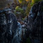 Frühlingsmorgen auf der Bastei