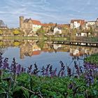 Frühlingsmorgen Baderteich Ronneburg mit Lichtspiegelung 