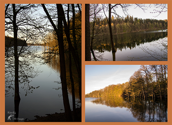 Frühlingsmorgen Bevertalsperre