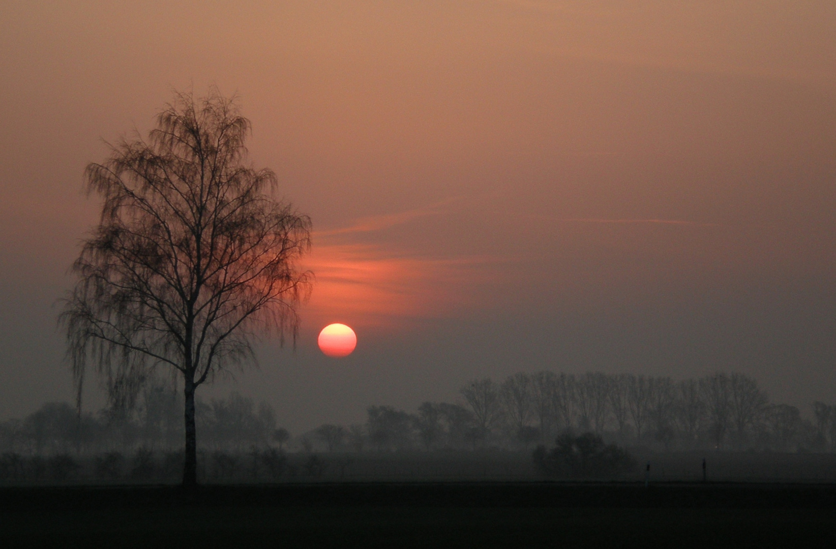 Frühlingsmorgen