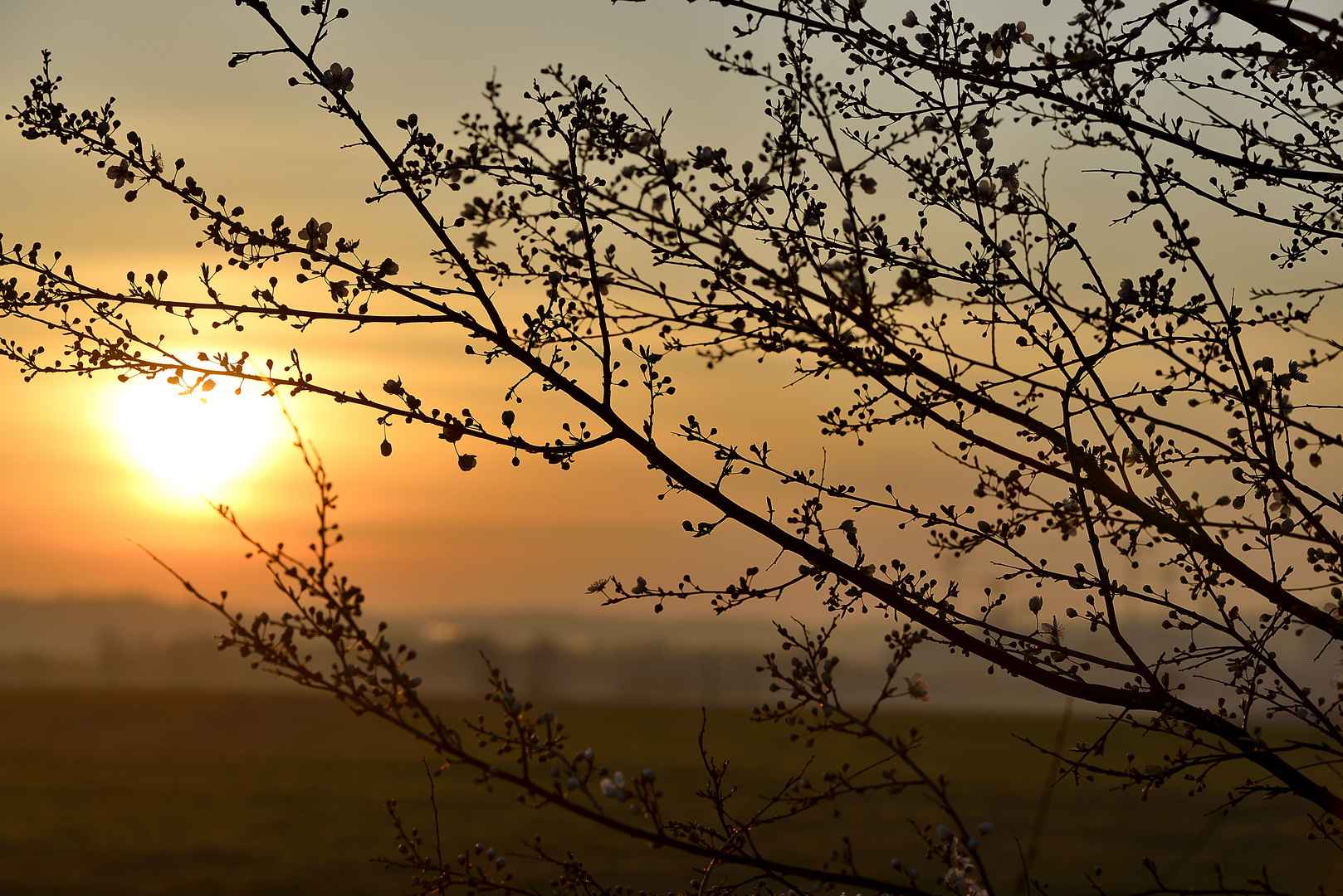 Frühlingsmorgen