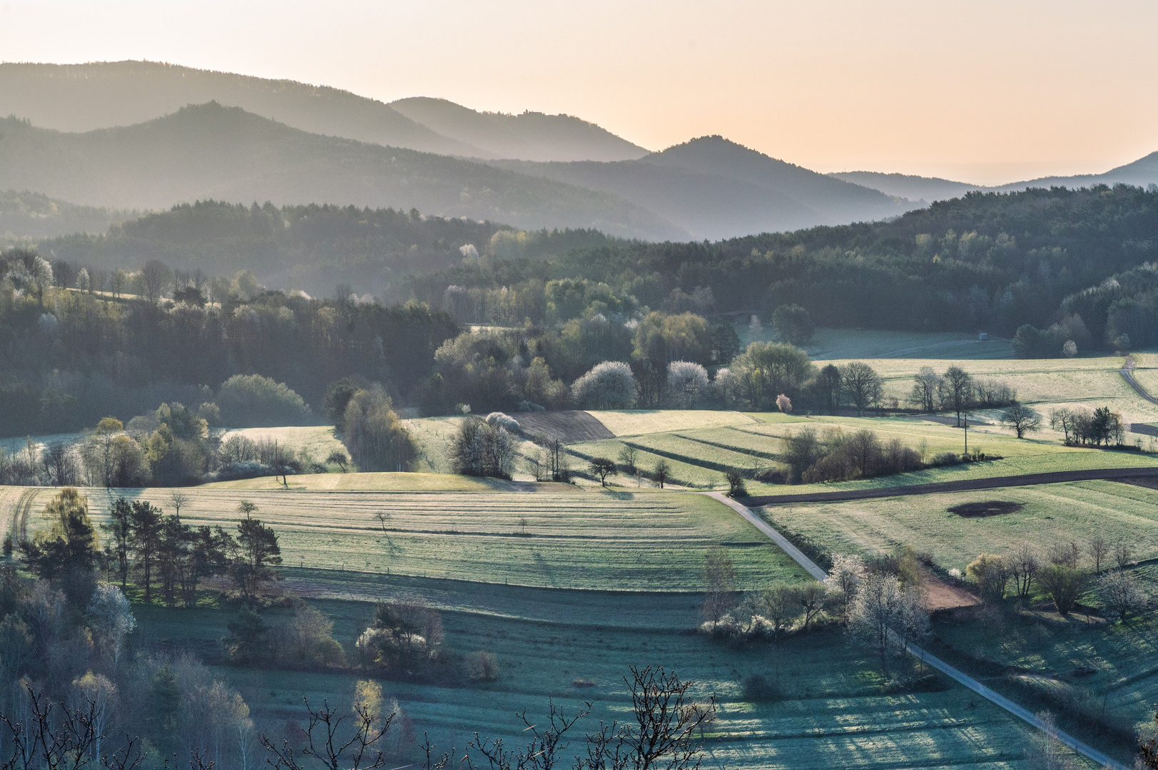 Frühlingsmorgen