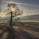 Frühlingsmorgen im Mecklenburger Land