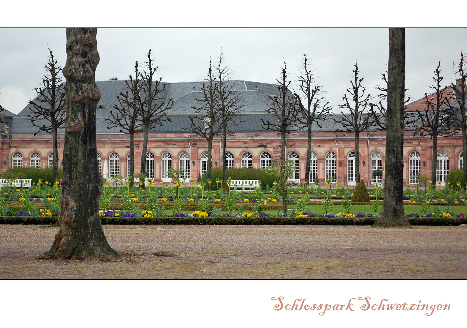 Frühlingsmorgen im Schlosspark Schwetzingen - Nr. 6