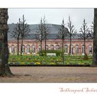 Frühlingsmorgen im Schlosspark Schwetzingen - Nr. 6