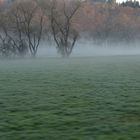 Frühlingsmorgen im Tal der Eder...