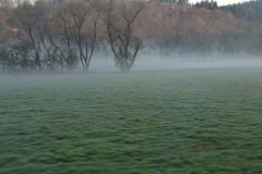 Frühlingsmorgen im Tal der Eder...