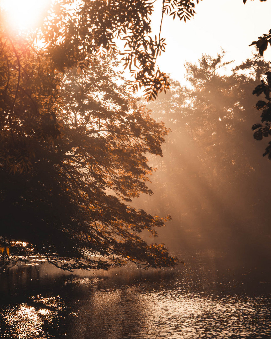 Frühlingsmorgen in Bremen 