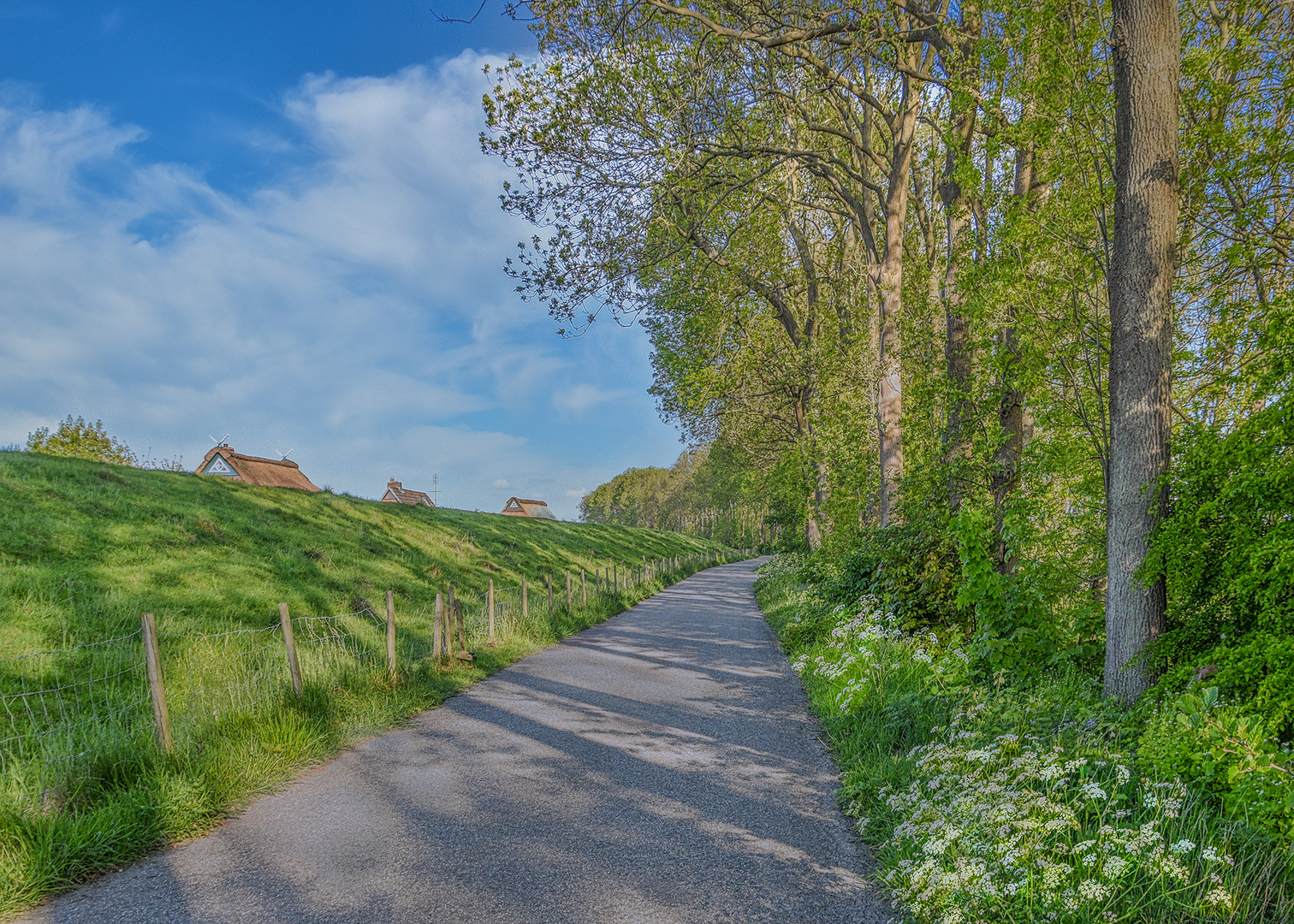 Frühlingsmorgen in der Elbmarsch