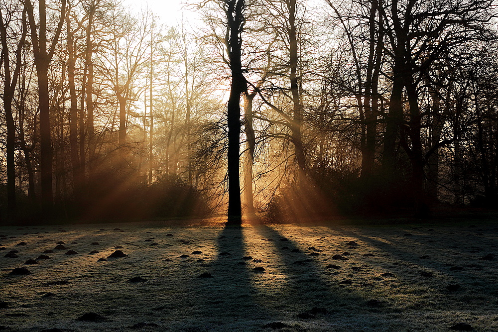 Frühlingsmorgen in der Karlsaue