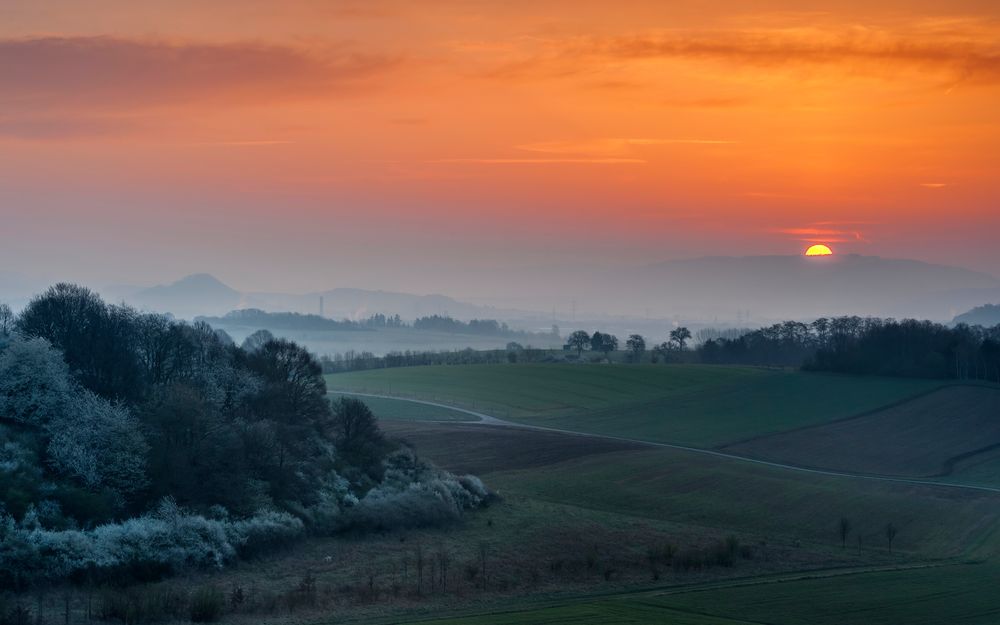 *Frühlingsmorgen in der Südeifel*