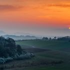 *Frühlingsmorgen in der Südeifel*