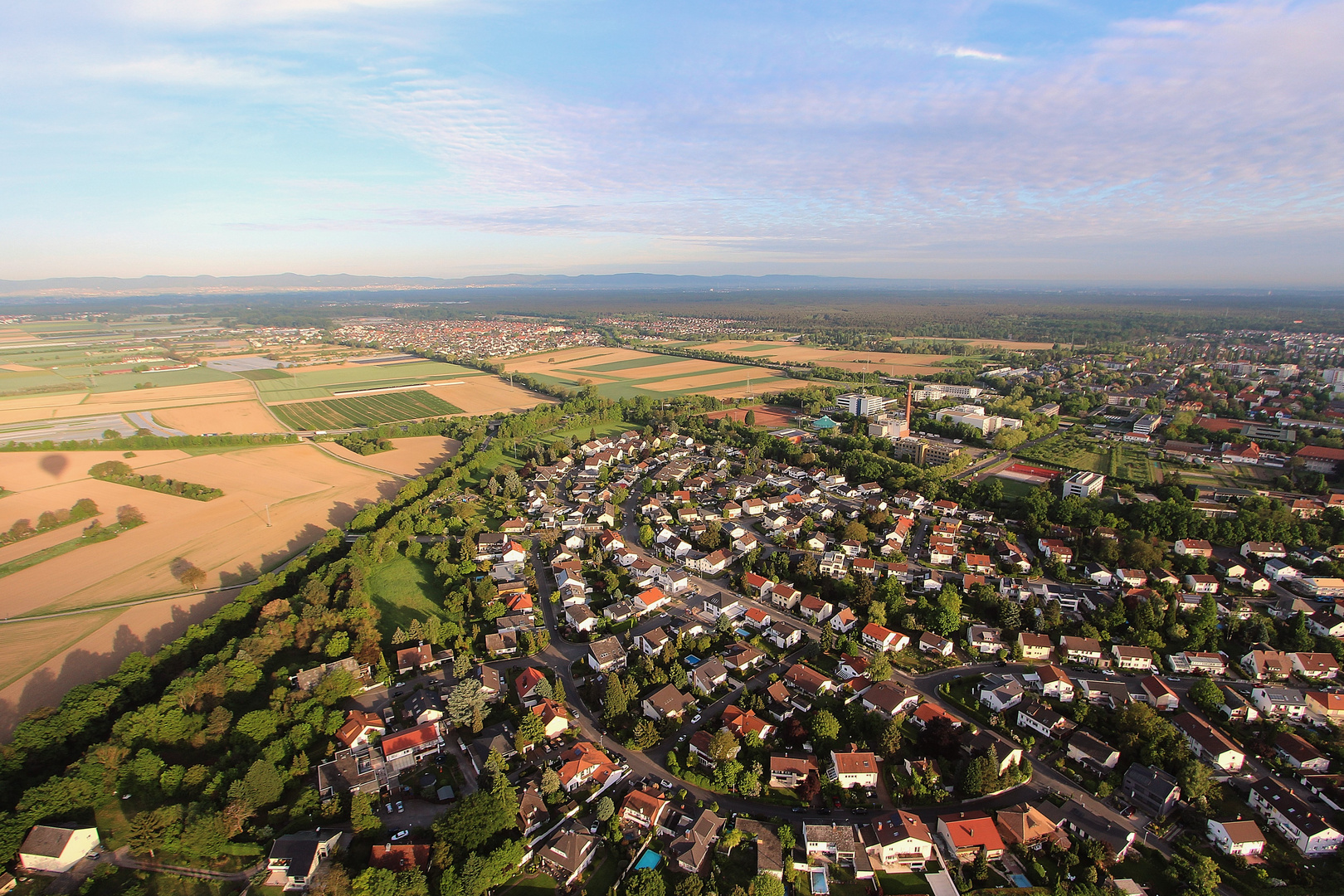 Frühlingsmorgen in der Vorderpfalz