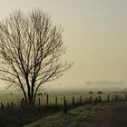 Frühlingsmorgen in Schleswig-Holstein