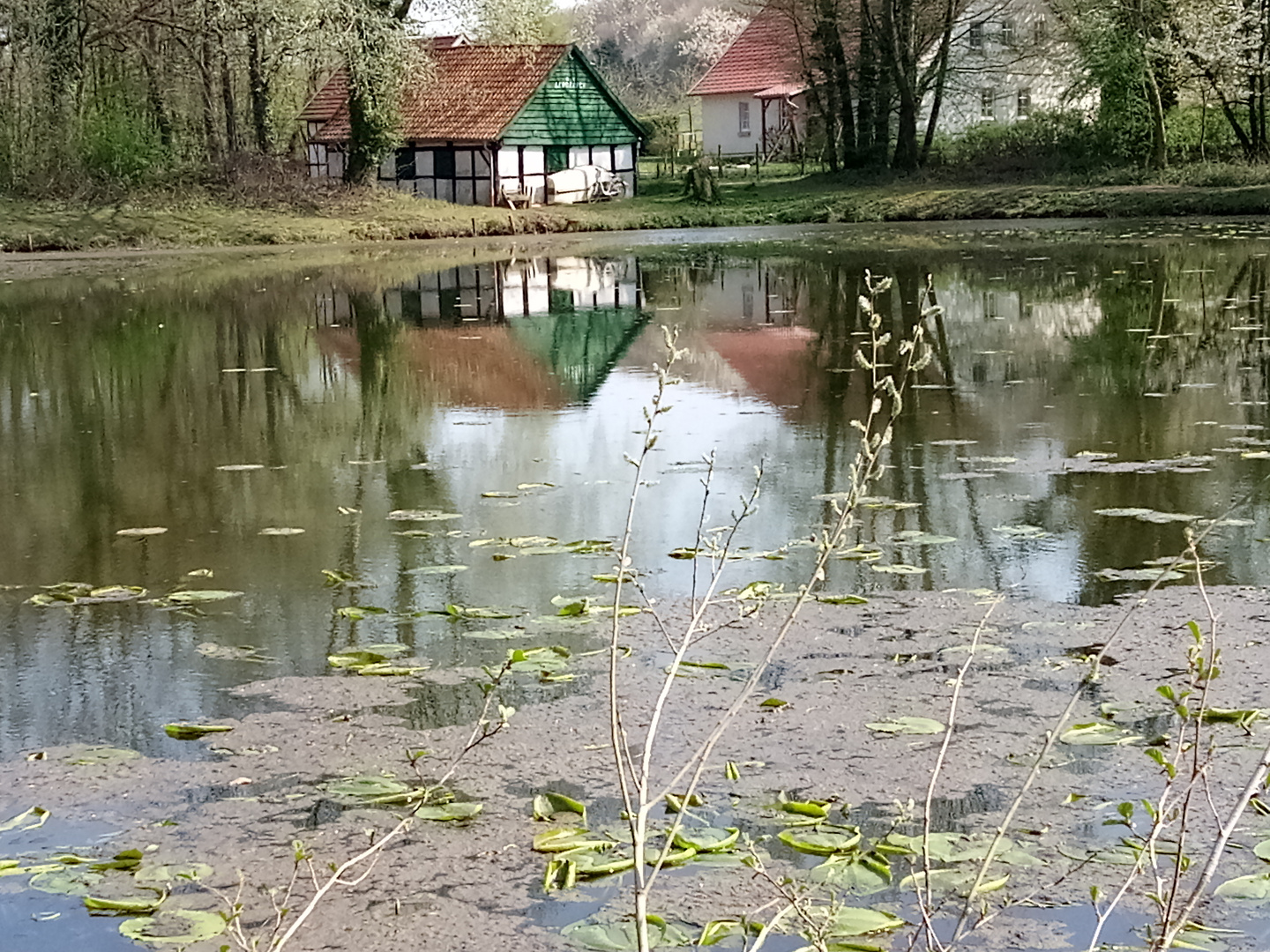 Frühlingsmorgen in Tecklenburgs Landschaft