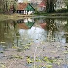 Frühlingsmorgen in Tecklenburgs Landschaft