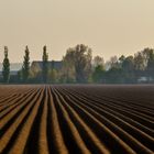 Frühlingsmorgen -jetzt in Farbe