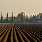 Frühlingsmorgen -jetzt in Farbe