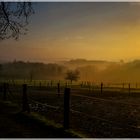 Frühlingsmorgennebel