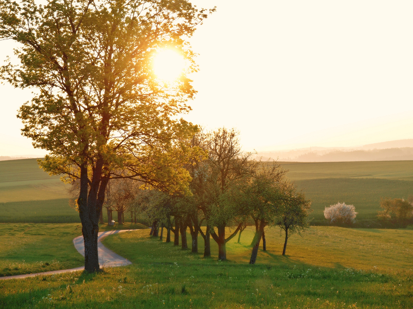 Frühlingsmorgenspaziergang...