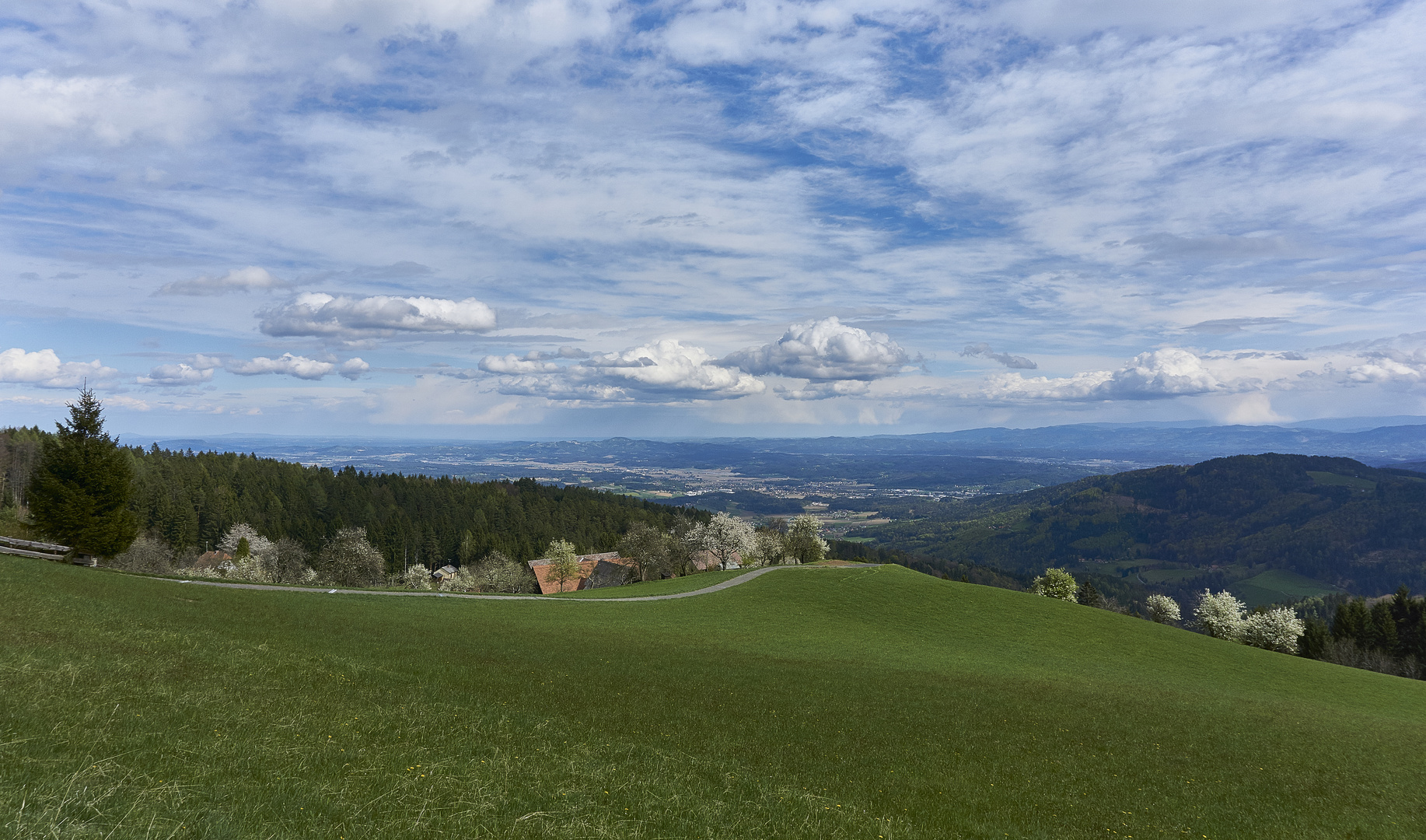 Frühlingsnachmittag