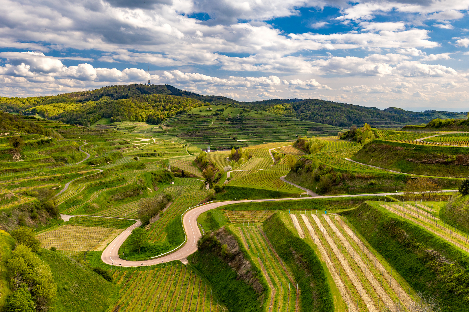 Frühlingsnachmittag am Kaiserstuhl