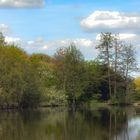 Frühlingsnachmittag am Teich 