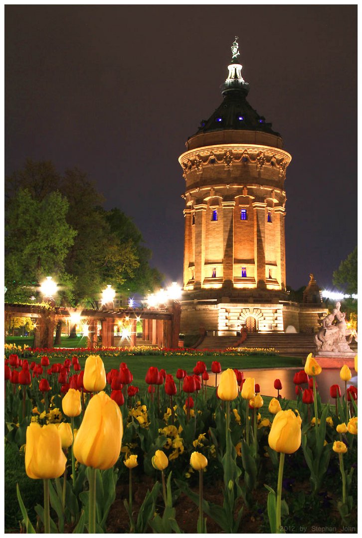 Frühlingsnacht in Mannheim