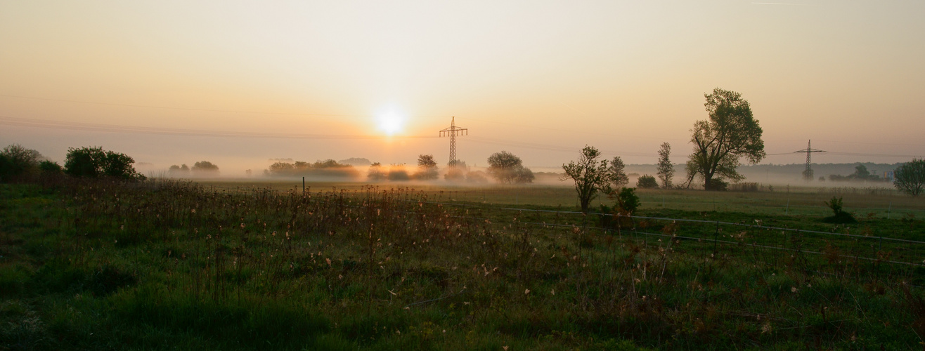 Frühlingsnebel