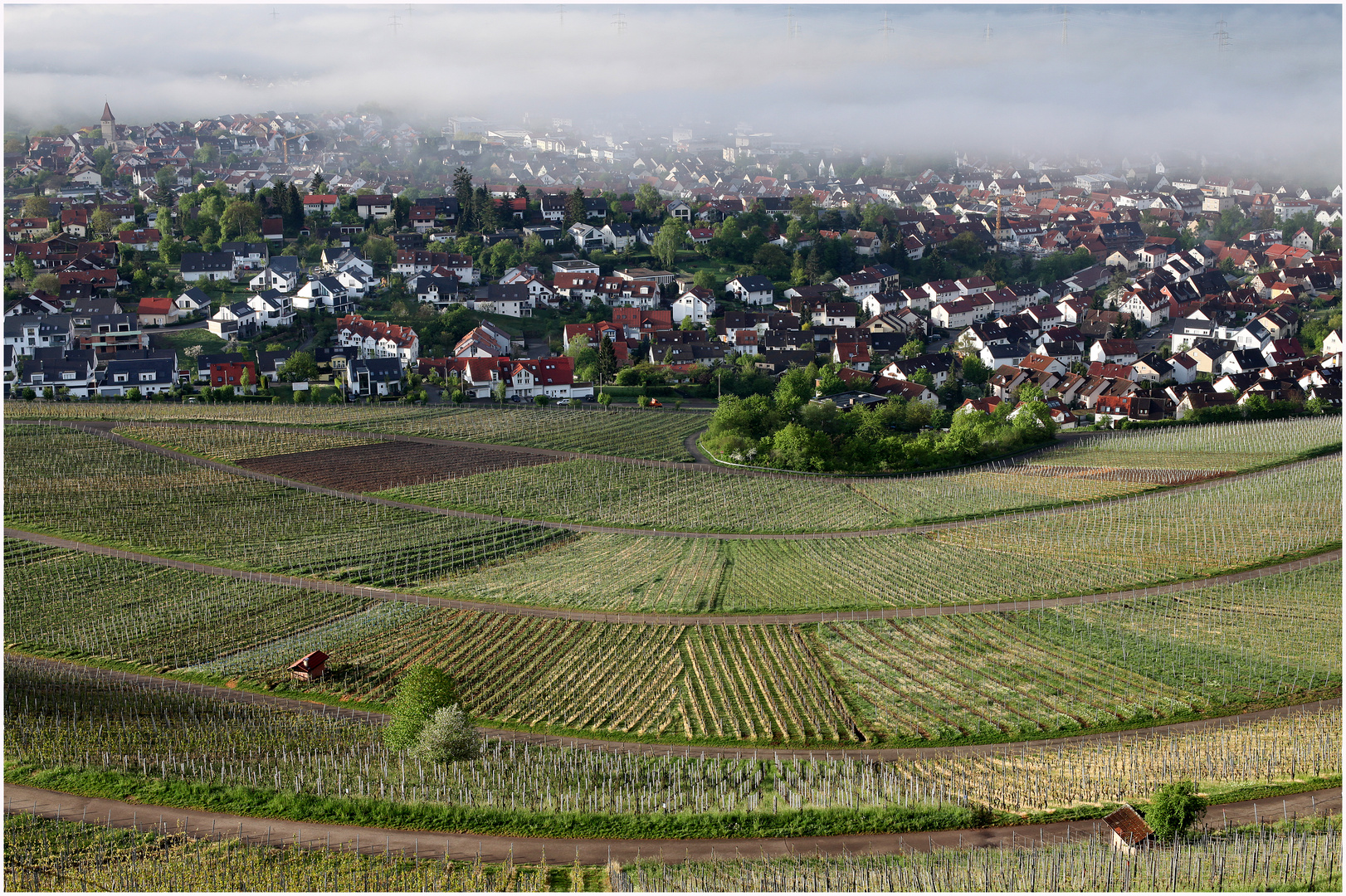 Frühlingsnebel