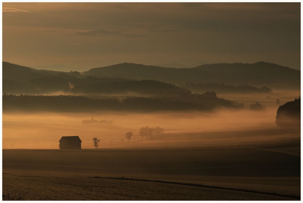 Frühlingsnebel ...