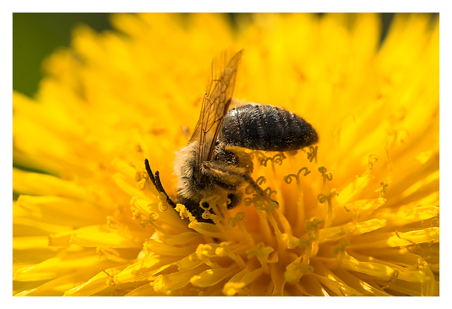 Frühling/Sommer 2011