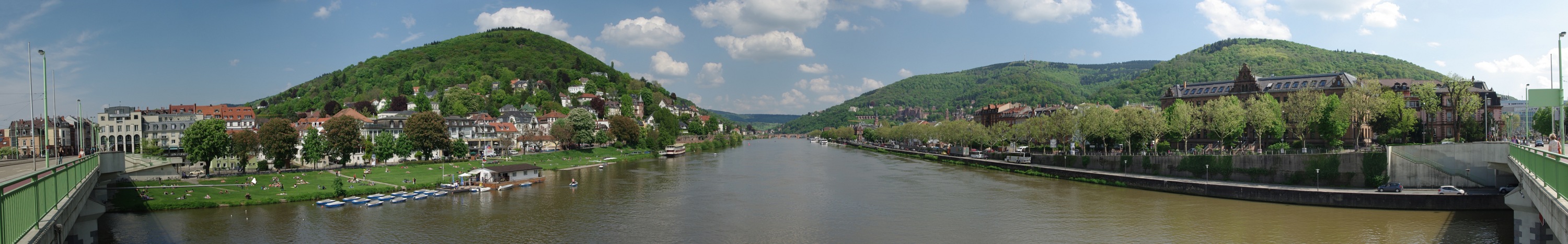Frühlingspano von Heidelberg