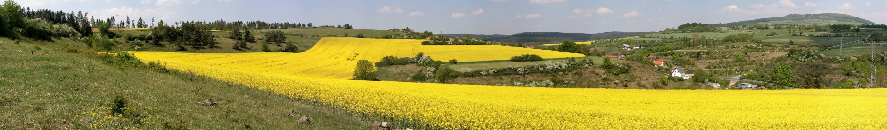 Frühlingspanorama