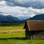 Frühlingspanorama im Murnauer Moos