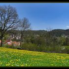 Frühlingspanorama im Pegnitztal