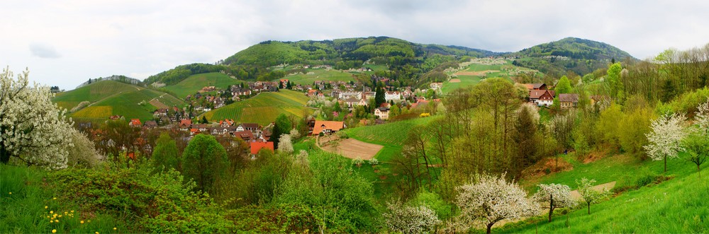 Frühlingspanorama von Sasbachwalden