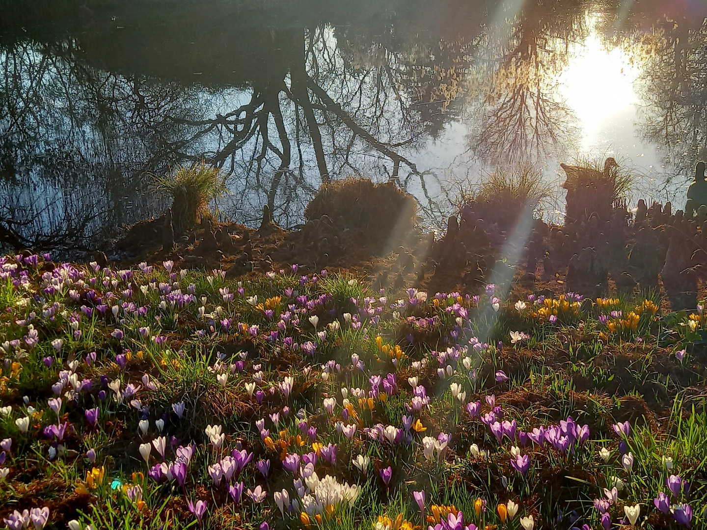 Frühlingspark