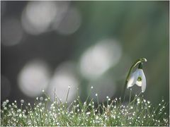 Frühlingspause...