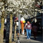 Frühlingspoesie in Schwäbisch Gmünd