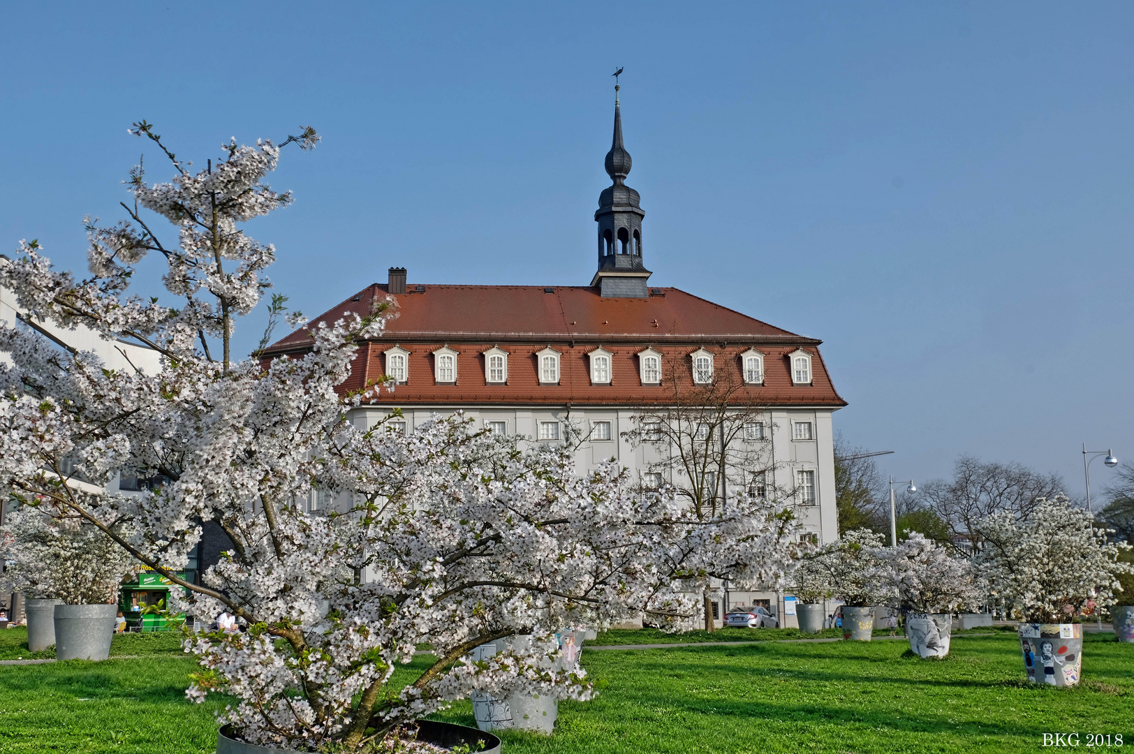 Frühlingspracht