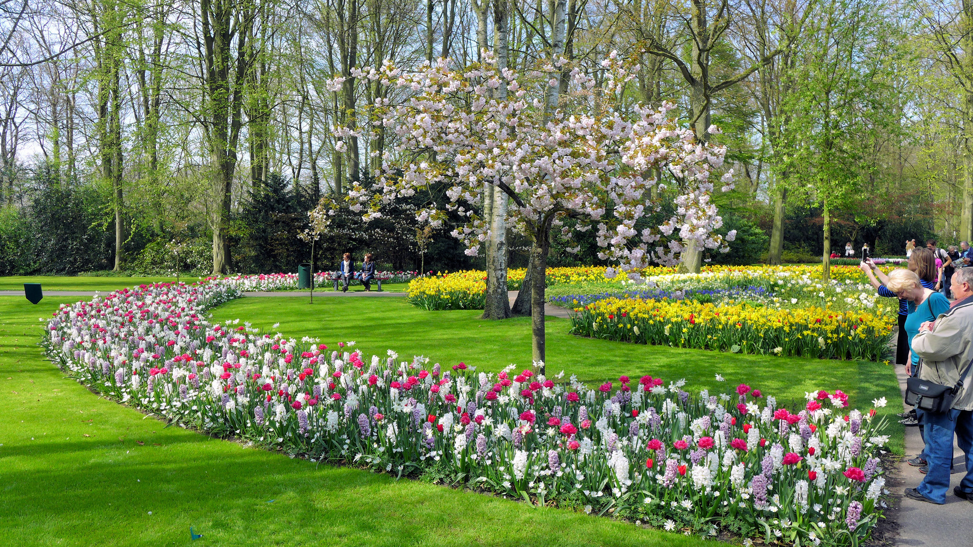 Frühlingspracht in Keukenhof