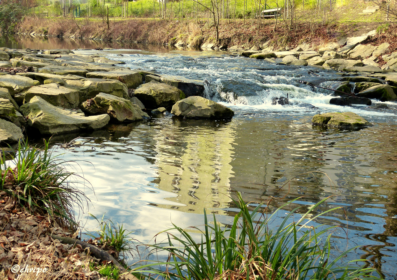 Frühlingsrauschen am Bach