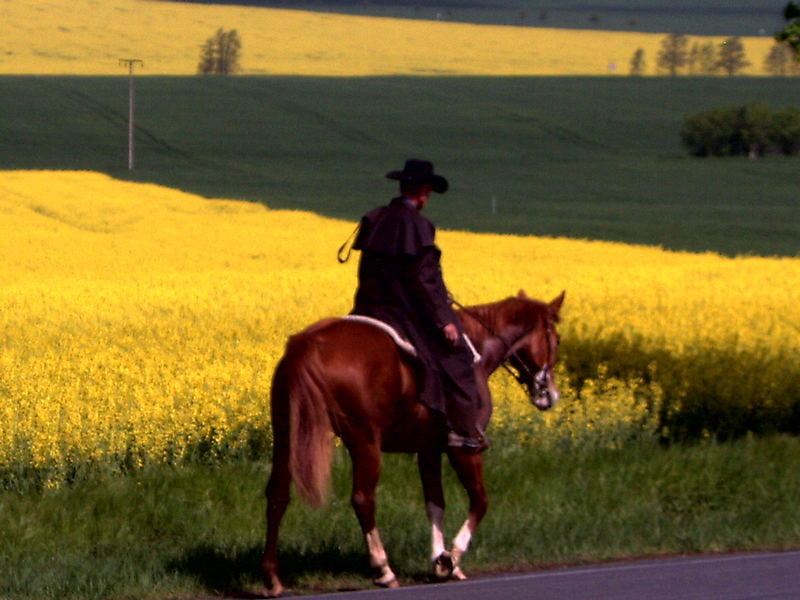 Frühlingsreiter