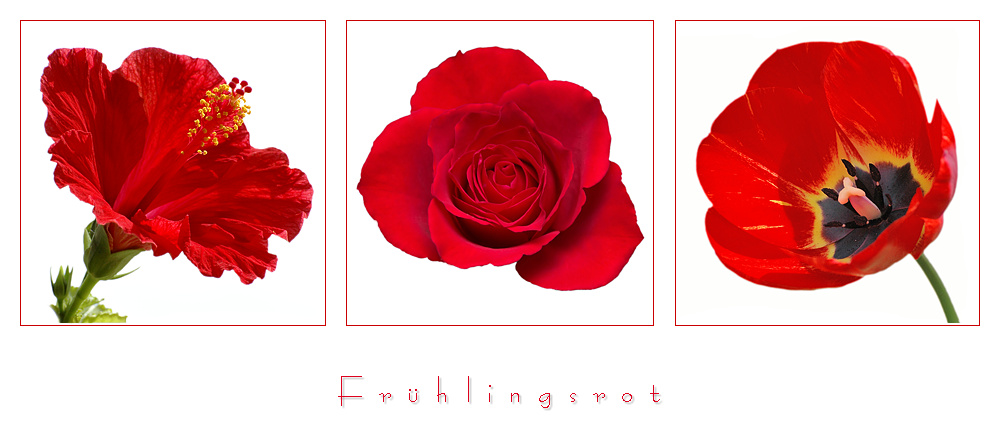 Frühlingsrot