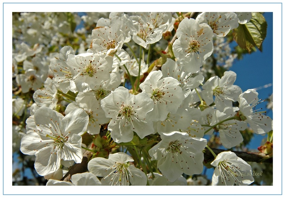 Frühlingsrückblick 98-08