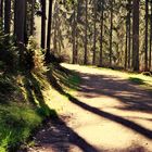 Frühlingsschatten im Odenwald