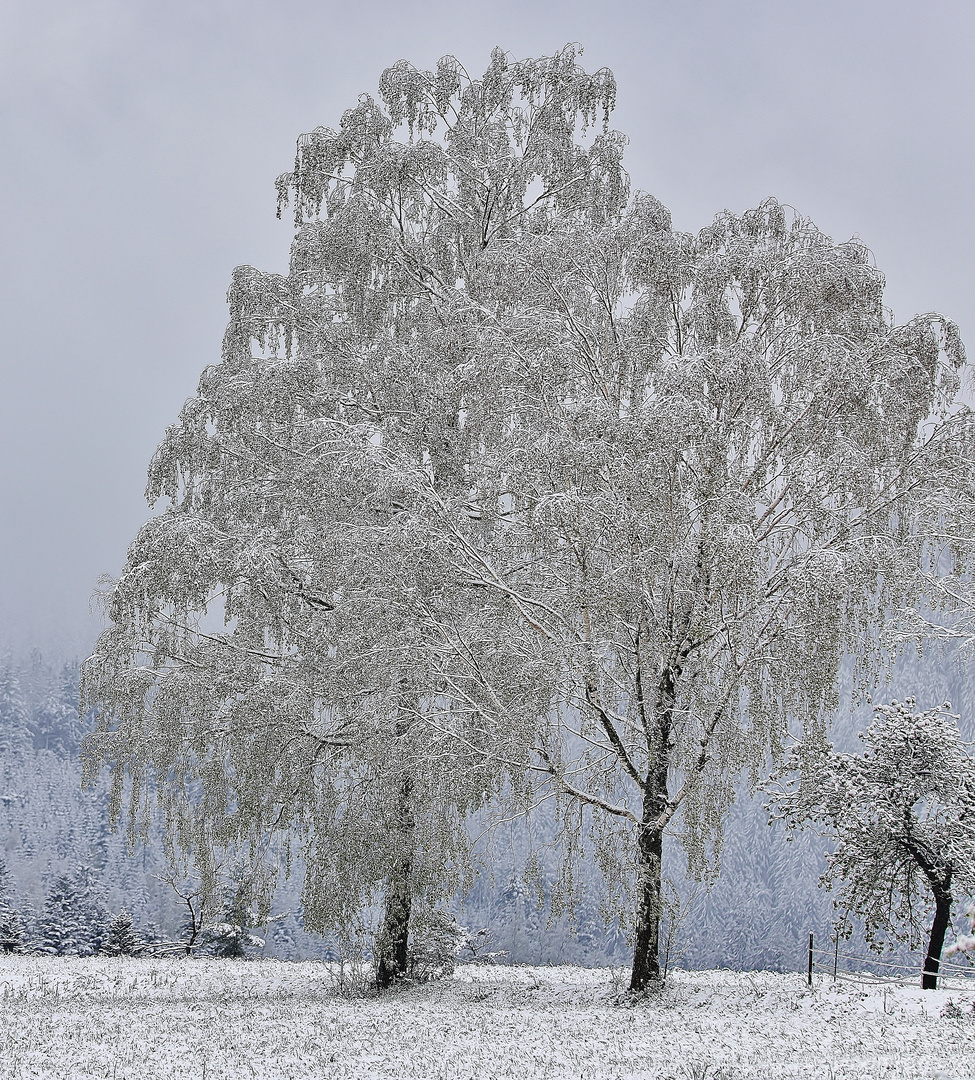 Frühlingsschnee