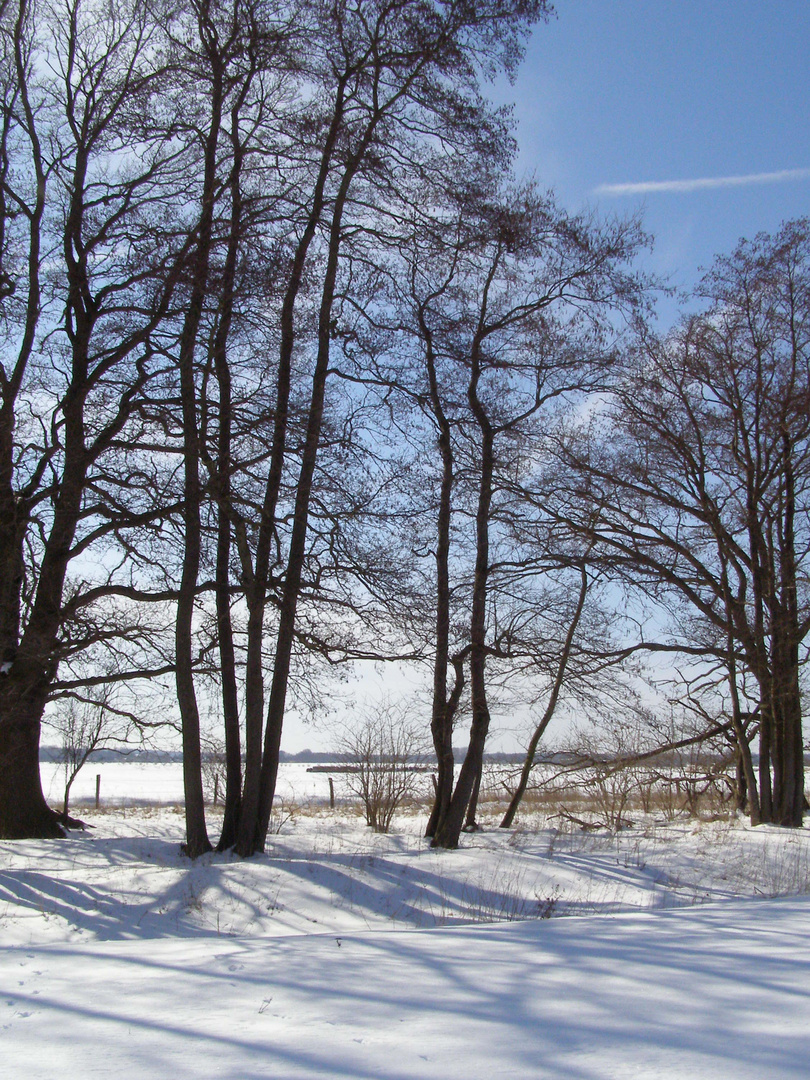 Frühlingsschnee